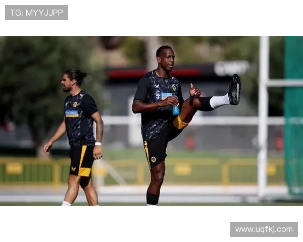 英超韦利·博利