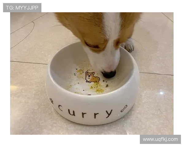 张琳芃家的狗吃的都比我好